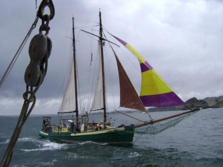 tall ships race in 2008