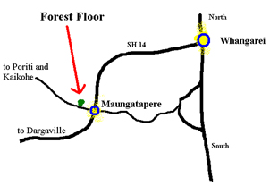 map of forest floor